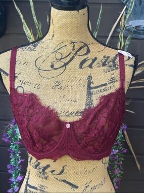 Victoria's Secret Dream Angels push up Bra - Wine